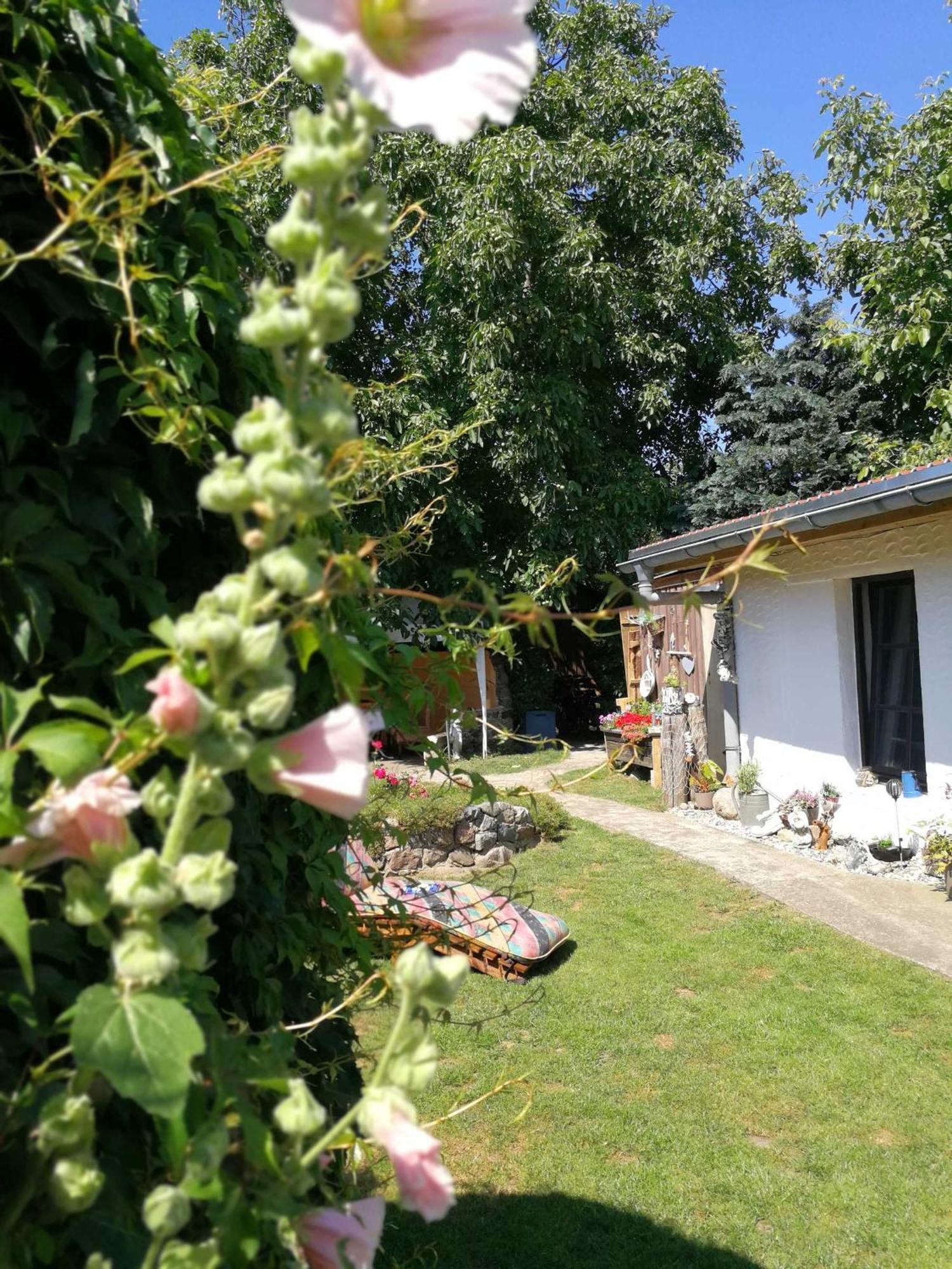 Bungalow Bei Warnemuende Elmenhorst/Lichtenhagen Exteriér fotografie